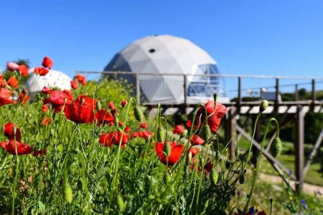 Dome Family — view of the accommodation